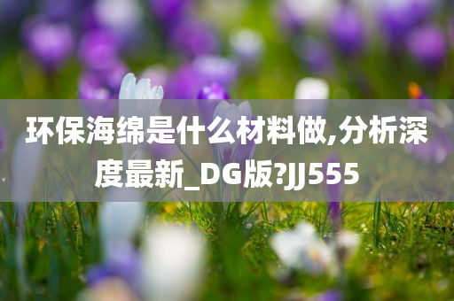 环保海绵是什么材料做,分析深度最新_DG版?JJ555