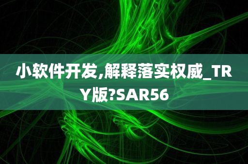 小软件开发,解释落实权威_TRY版?SAR56