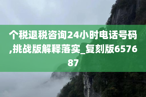 个税退税咨询24小时电话号码,挑战版解释落实_复刻版657687