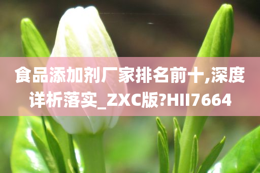 食品添加剂厂家排名前十,深度详析落实_ZXC版?HII7664