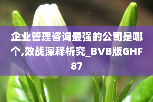 企业管理咨询最强的公司是哪个,效战深释析究_BVB版GHF87