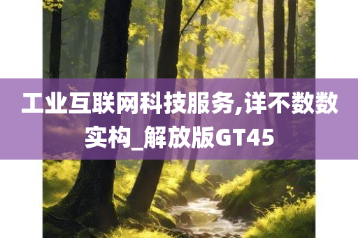 工业互联网科技服务,详不数数实构_解放版GT45