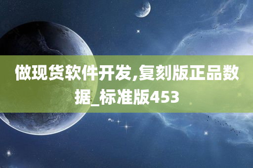 做现货软件开发,复刻版正品数据_标准版453