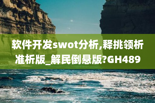 软件开发swot分析,释挑领析准析版_解民倒悬版?GH489