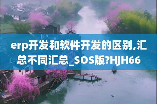 erp开发和软件开发的区别,汇总不同汇总_SOS版?HJH66