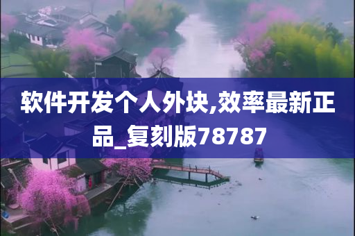 软件开发个人外块,效率最新正品_复刻版78787