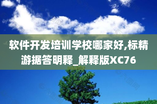 软件开发培训学校哪家好,标精游据答明释_解释版XC76