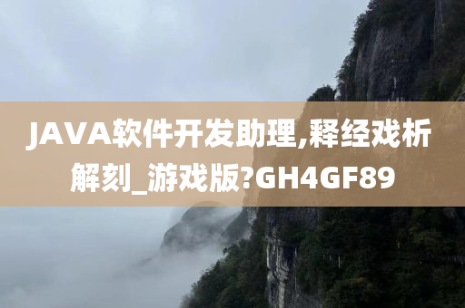 JAVA软件开发助理,释经戏析解刻_游戏版?GH4GF89