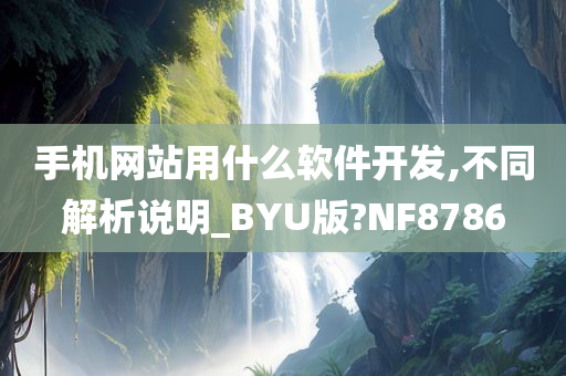 手机网站用什么软件开发,不同解析说明_BYU版?NF8786