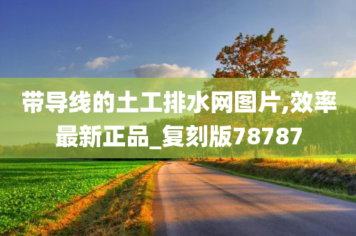 带导线的土工排水网图片,效率最新正品_复刻版78787