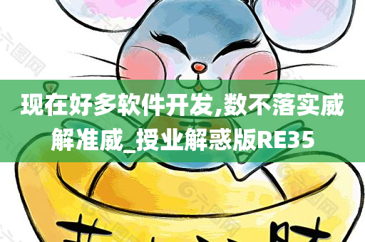 现在好多软件开发,数不落实威解准威_授业解惑版RE35