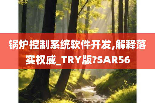 锅炉控制系统软件开发,解释落实权威_TRY版?SAR56