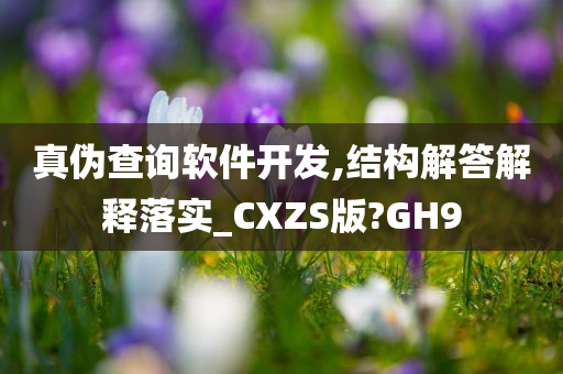 真伪查询软件开发,结构解答解释落实_CXZS版?GH9