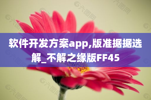 软件开发方案app,版准据据选解_不解之缘版FF45