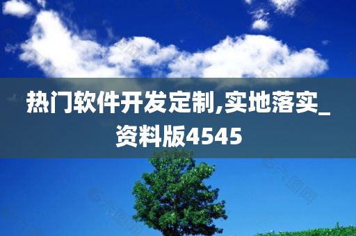 热门软件开发定制,实地落实_资料版4545