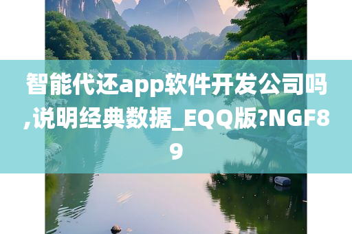 智能代还app软件开发公司吗,说明经典数据_EQQ版?NGF89