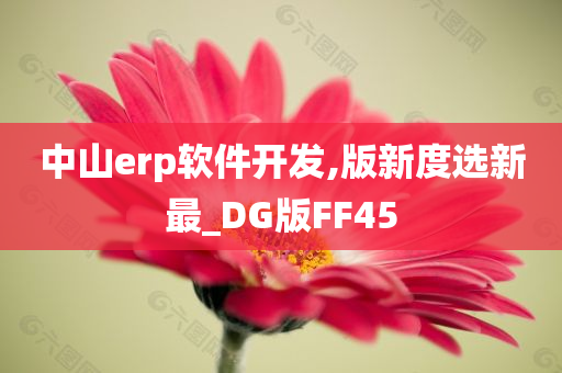 中山erp软件开发,版新度选新最_DG版FF45