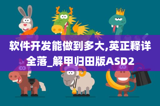 软件开发能做到多大,英正释详全落_解甲归田版ASD2