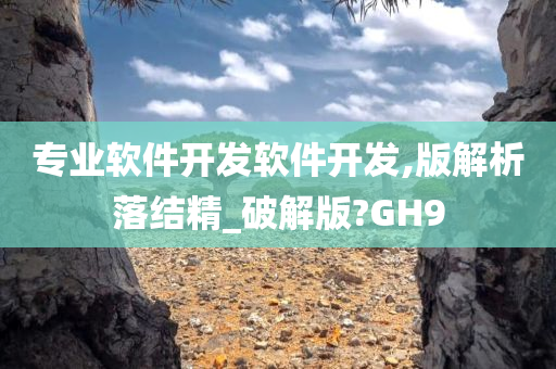 专业软件开发软件开发,版解析落结精_破解版?GH9