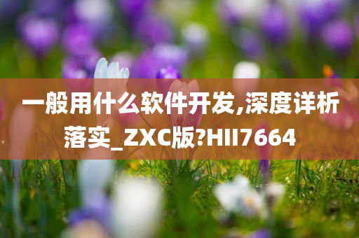 一般用什么软件开发,深度详析落实_ZXC版?HII7664