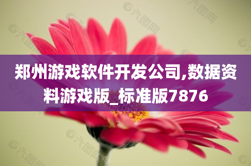 郑州游戏软件开发公司,数据资料游戏版_标准版7876