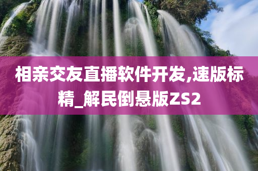 相亲交友直播软件开发,速版标精_解民倒悬版ZS2