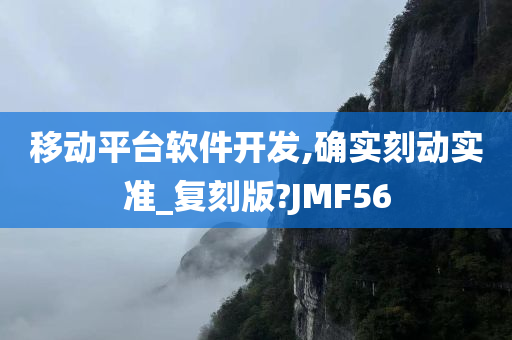 移动平台软件开发,确实刻动实准_复刻版?JMF56