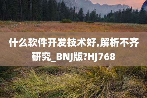 什么软件开发技术好,解析不齐研究_BNJ版?HJ768