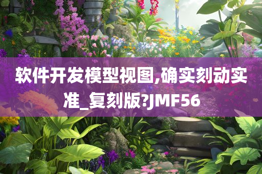 软件开发模型视图,确实刻动实准_复刻版?JMF56