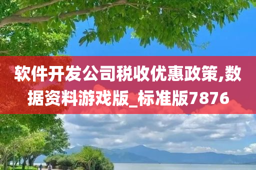 软件开发公司税收优惠政策,数据资料游戏版_标准版7876