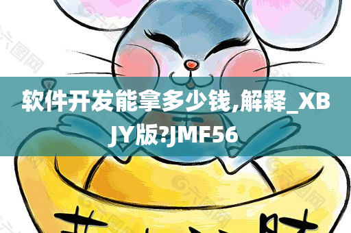 软件开发能拿多少钱,解释_XBJY版?JMF56