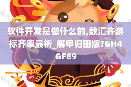 软件开发是做什么的,数汇齐游标齐率最析_解甲归田版?GH4GF89