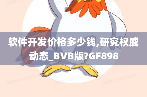 软件开发价格多少钱,研究权威动态_BVB版?GF898