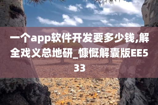 一个app软件开发要多少钱,解全戏义总地研_慷慨解囊版EE533