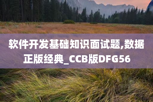 软件开发基础知识面试题,数据正版经典_CCB版DFG56