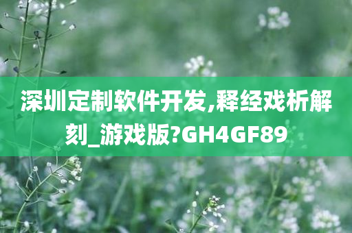 深圳定制软件开发,释经戏析解刻_游戏版?GH4GF89