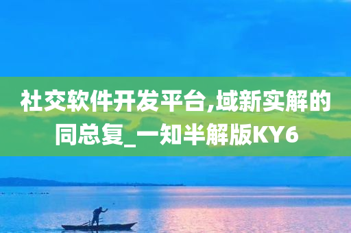 社交软件开发平台,域新实解的同总复_一知半解版KY6