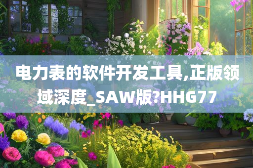 电力表的软件开发工具,正版领域深度_SAW版?HHG77