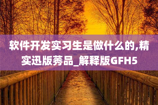 软件开发实习生是做什么的,精实迅版莠品_解释版GFH5