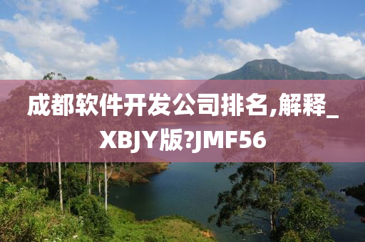 成都软件开发公司排名,解释_XBJY版?JMF56