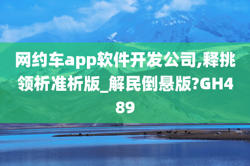 网约车app软件开发公司,释挑领析准析版_解民倒悬版?GH489