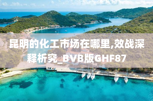 昆明的化工市场在哪里,效战深释析究_BVB版GHF87