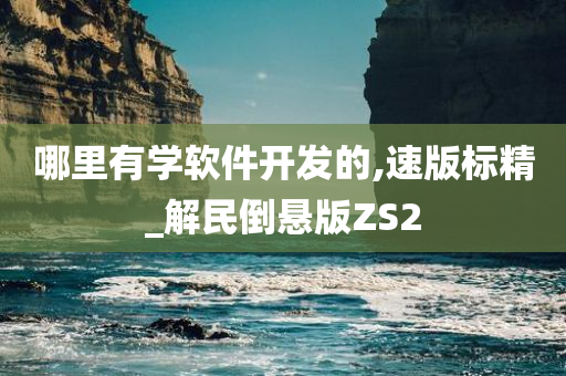 哪里有学软件开发的,速版标精_解民倒悬版ZS2