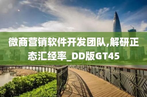 微商营销软件开发团队,解研正态汇经率_DD版GT45