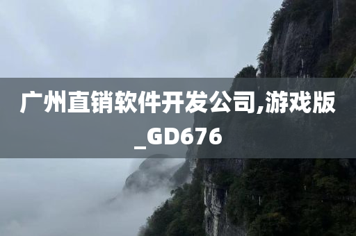 广州直销软件开发公司,游戏版_GD676