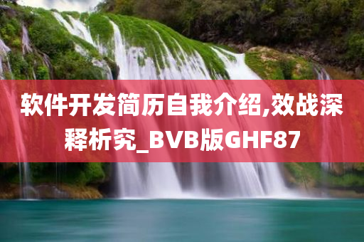 软件开发简历自我介绍,效战深释析究_BVB版GHF87