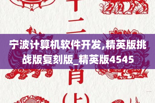 宁波计算机软件开发,精英版挑战版复刻版_精英版4545