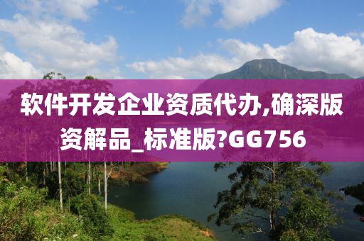 软件开发企业资质代办,确深版资解品_标准版?GG756