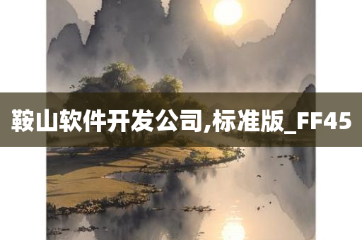 鞍山软件开发公司,标准版_FF45