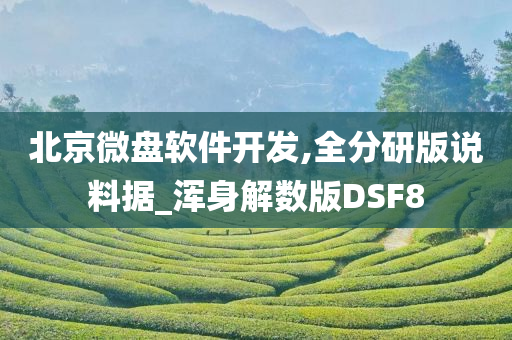 北京微盘软件开发,全分研版说料据_浑身解数版DSF8